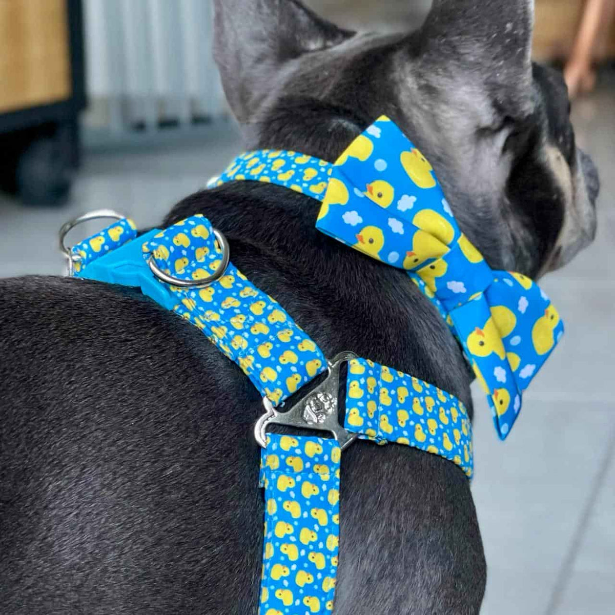 Arnés para perros step in sin correa Patos azul