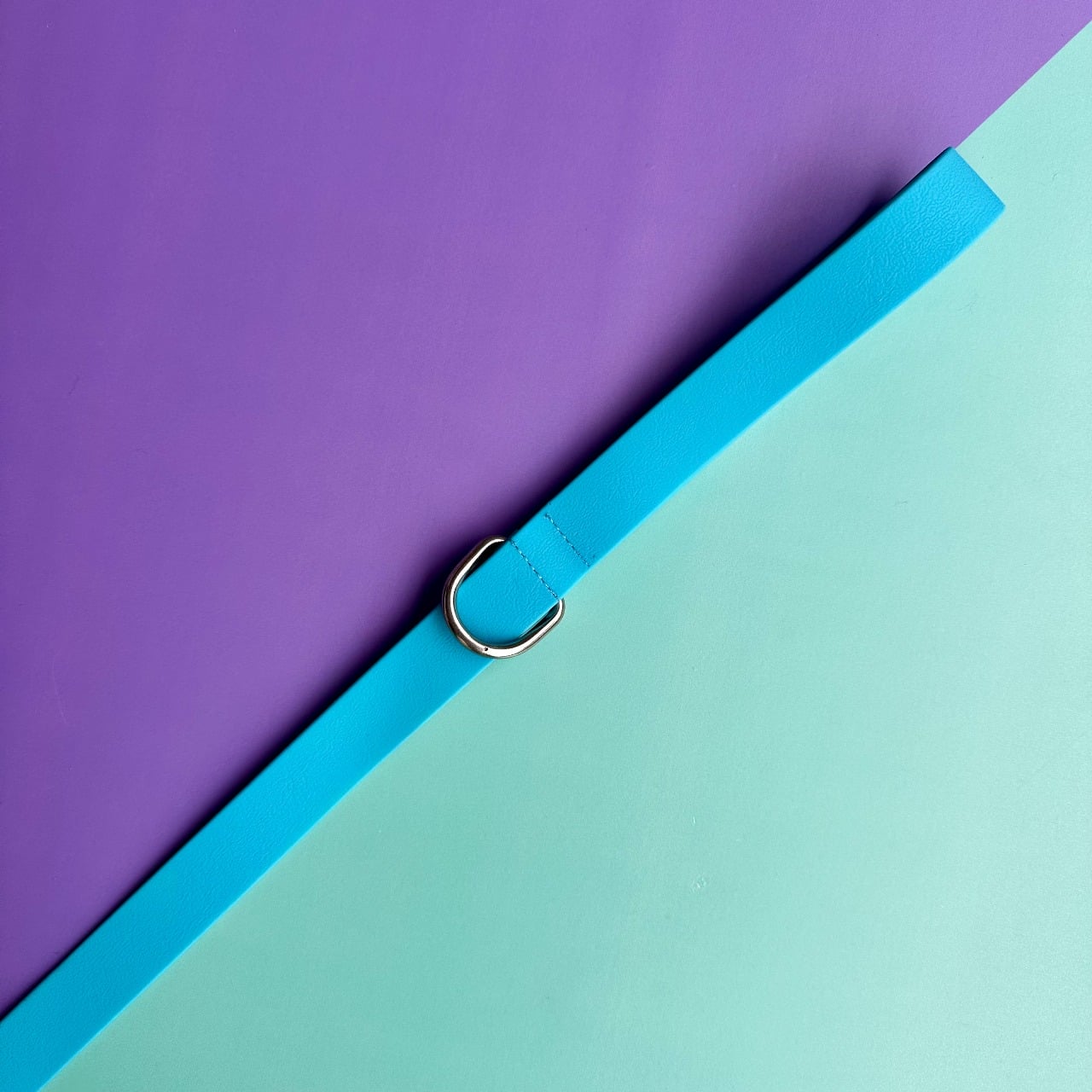 Arnés para perros en goma impermeable azul con correa