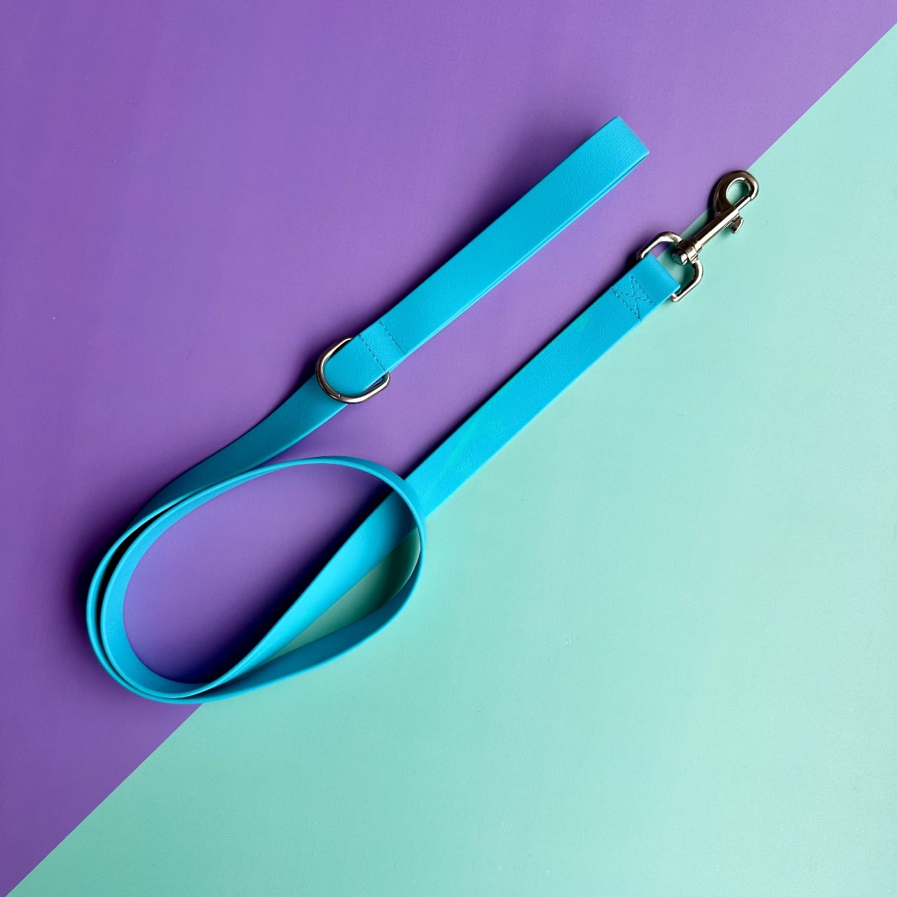 Arnés para perros en goma impermeable azul con correa