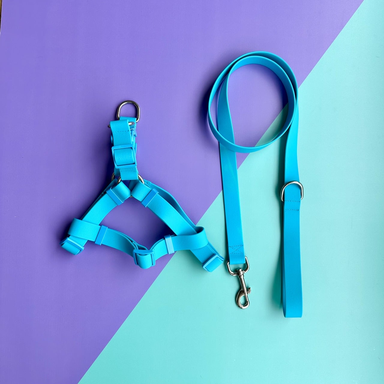 Arnés para perros en goma impermeable azul con correa