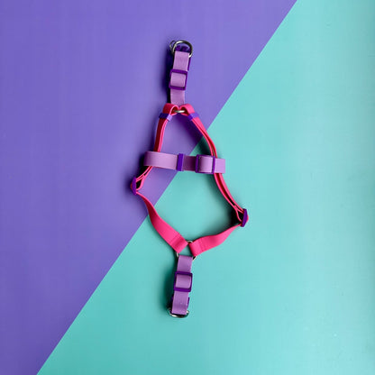 Arnés para perros en goma impermeable fucsia y lila con correa