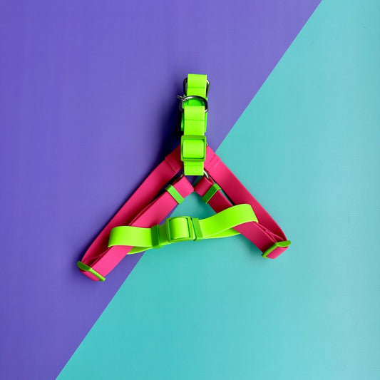 Arnés para perros en goma impermeable fucsia y verde neón sin correa