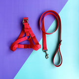 Arnés para perros en goma impermeable step in rojo con correa