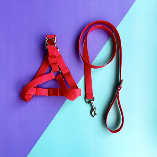 Arnés para perros en goma impermeable rojo con correa