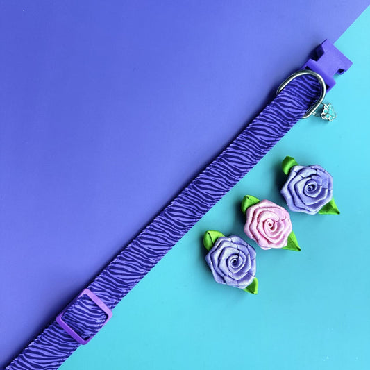 Collar para perros con rosas Cebra lila 2