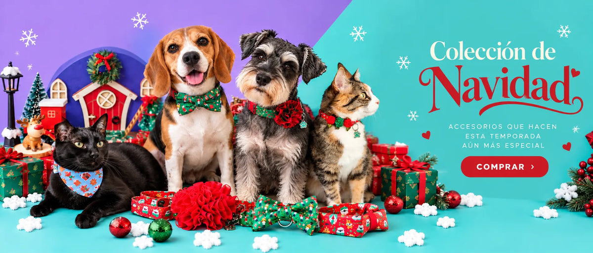Colección de Navidad de Vainilla: perros y gatos con corbatines, collares con flor y pañoletas navideñas
