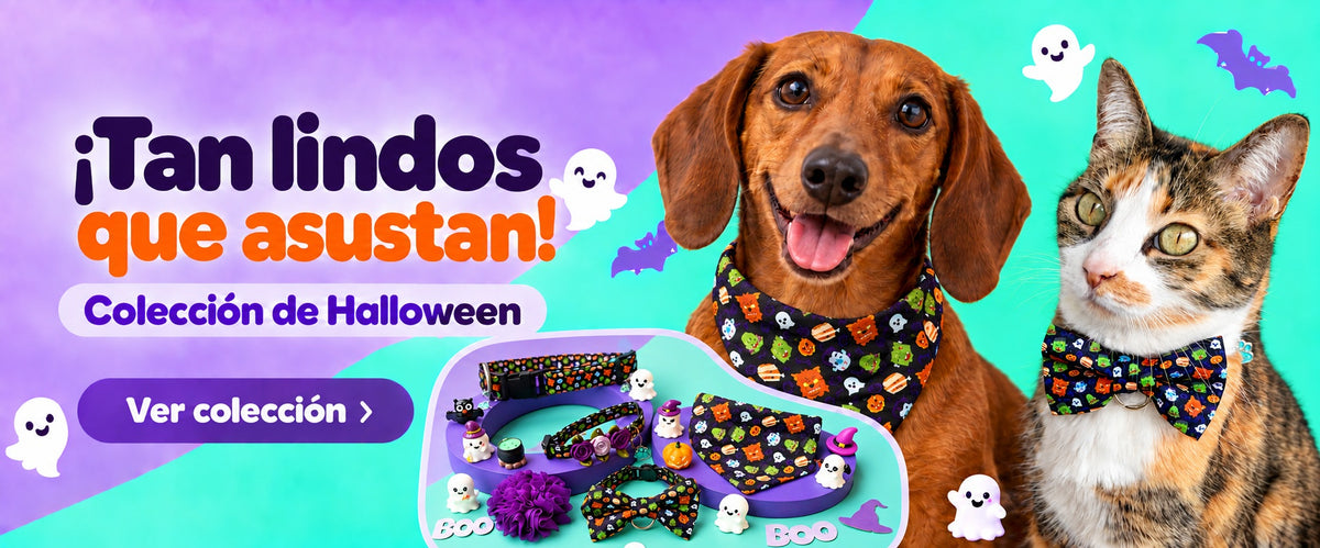 Colección de Halloween de Vainilla Mascotas: teckel con pañoleta, gata con corbatín y accesorios con estampado de monstruos.