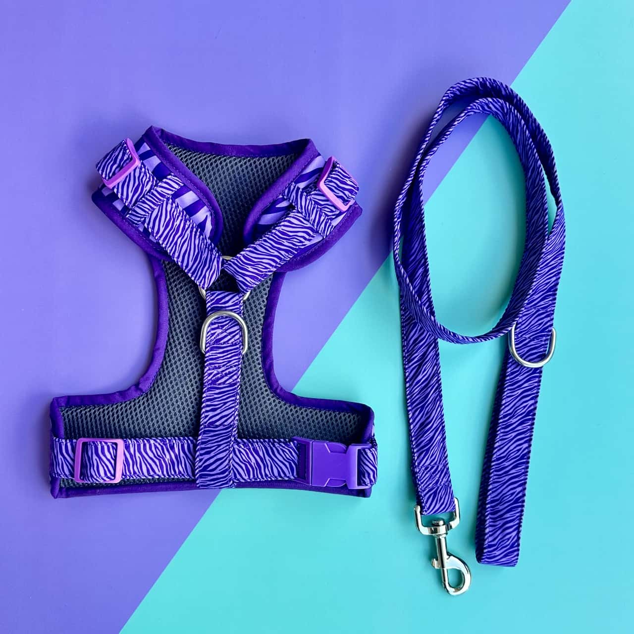 Pechera para perros con correa Cebra lila