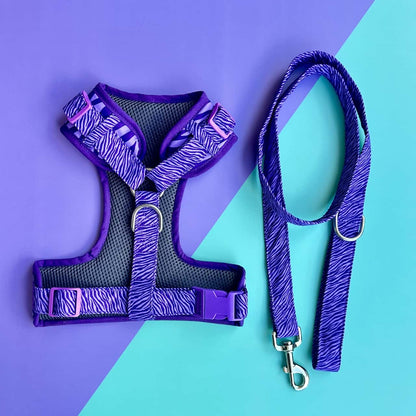 Pechera para perros con correa Cebra lila