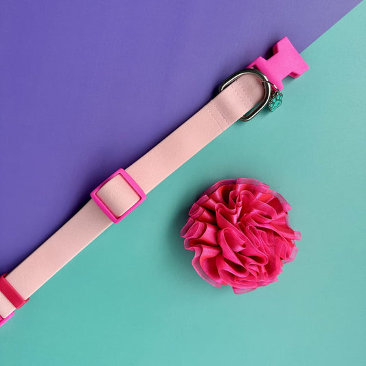 Collar para perros en goma impermeable rosado con flor tul fucsia neón