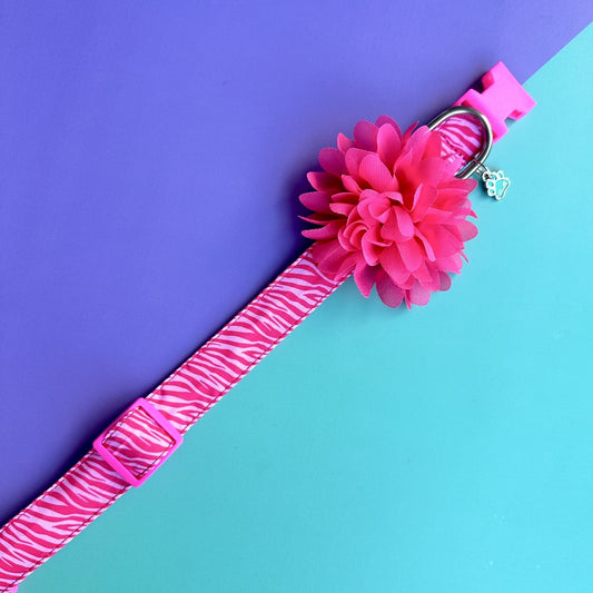 Collar para perros con flor seda - Cebra fucsia