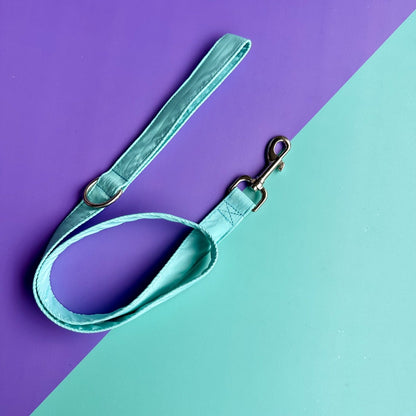 Pechera para perros con correa aguamarina