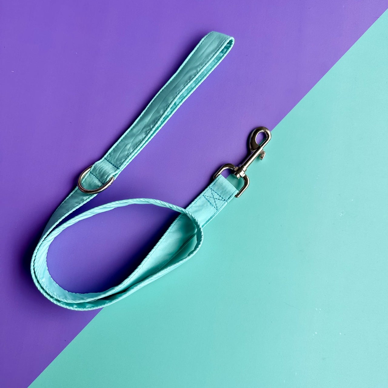 Correa para perros aguamarina