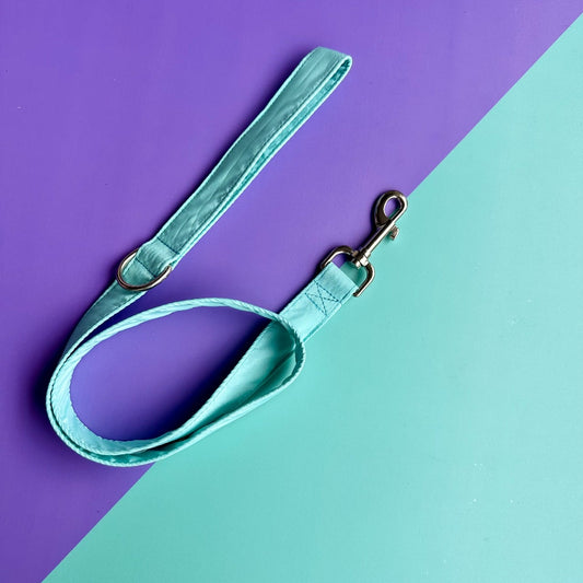 Correa para perros aguamarina