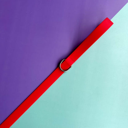 Arnés para perros en goma impermeable rojo con correa