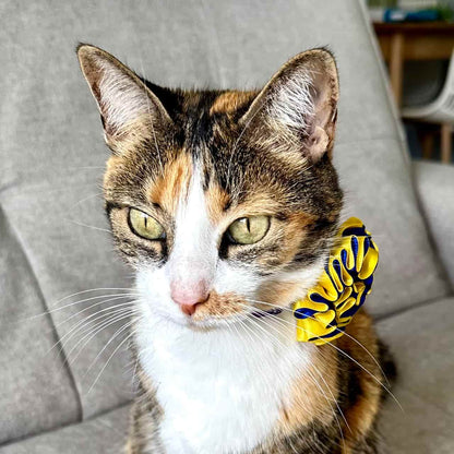 Collar para gatos con flor bicolor amarillo y azul - Playa