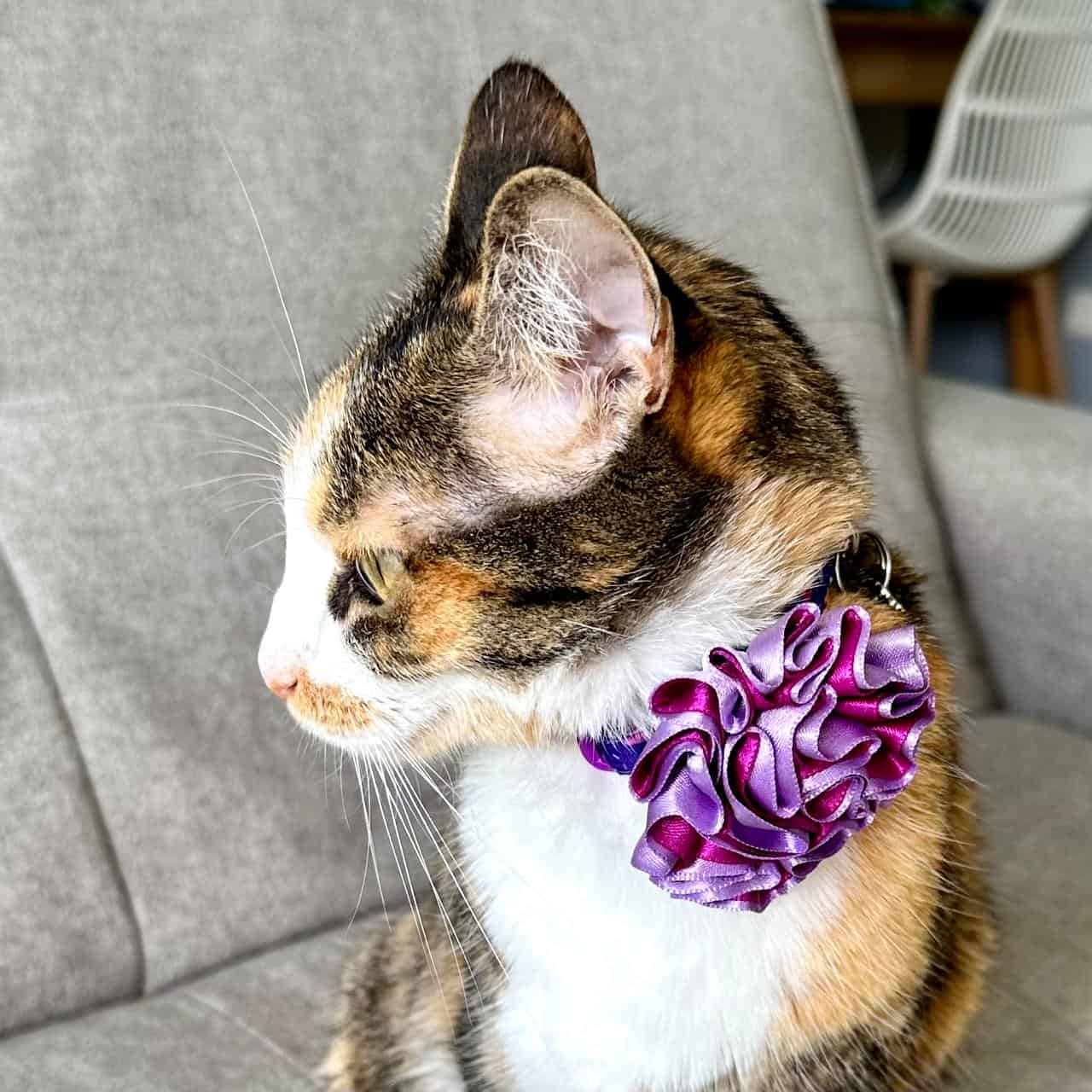 Collar para gatos con flor bicolor morado y lila - Animal print