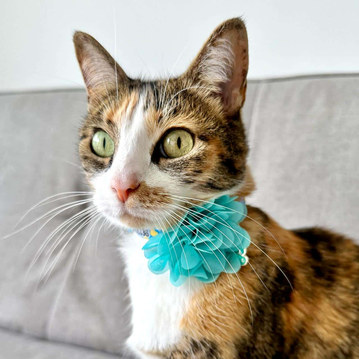 Collar para gatos con flor seda aguamarina - Océano