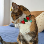 Gatita con collar de rosas de Navidad Cascanueces