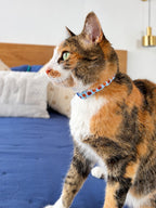 Gatita usando collar Dulce Navidad azul claro