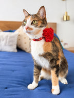 Gatita tricolor con collar Magia Polar Roja y flor tul roja