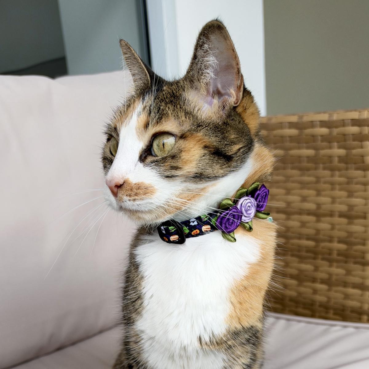 Gata tricolor usando el collar con rosas Halloween Monstruos de Vainilla Mascotas