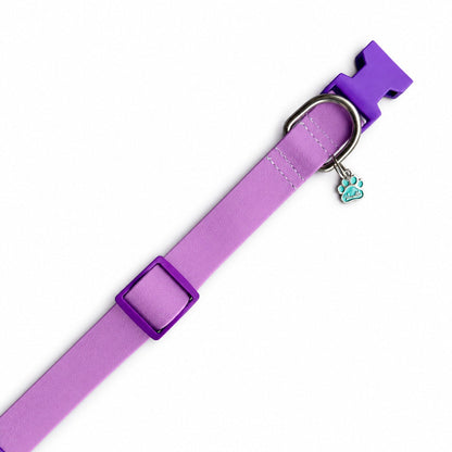 Collar para perros en goma impermeable lila