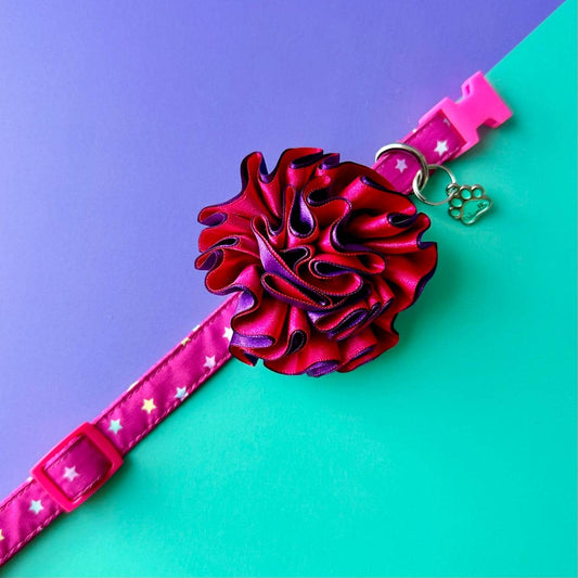Collar para perros con flor bicolor fucsia y morado - Estrellas