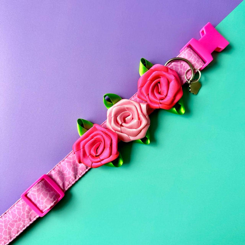 Rosas individuales