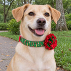Perrita con collar de flor bicolor de Navidad Cascanueces