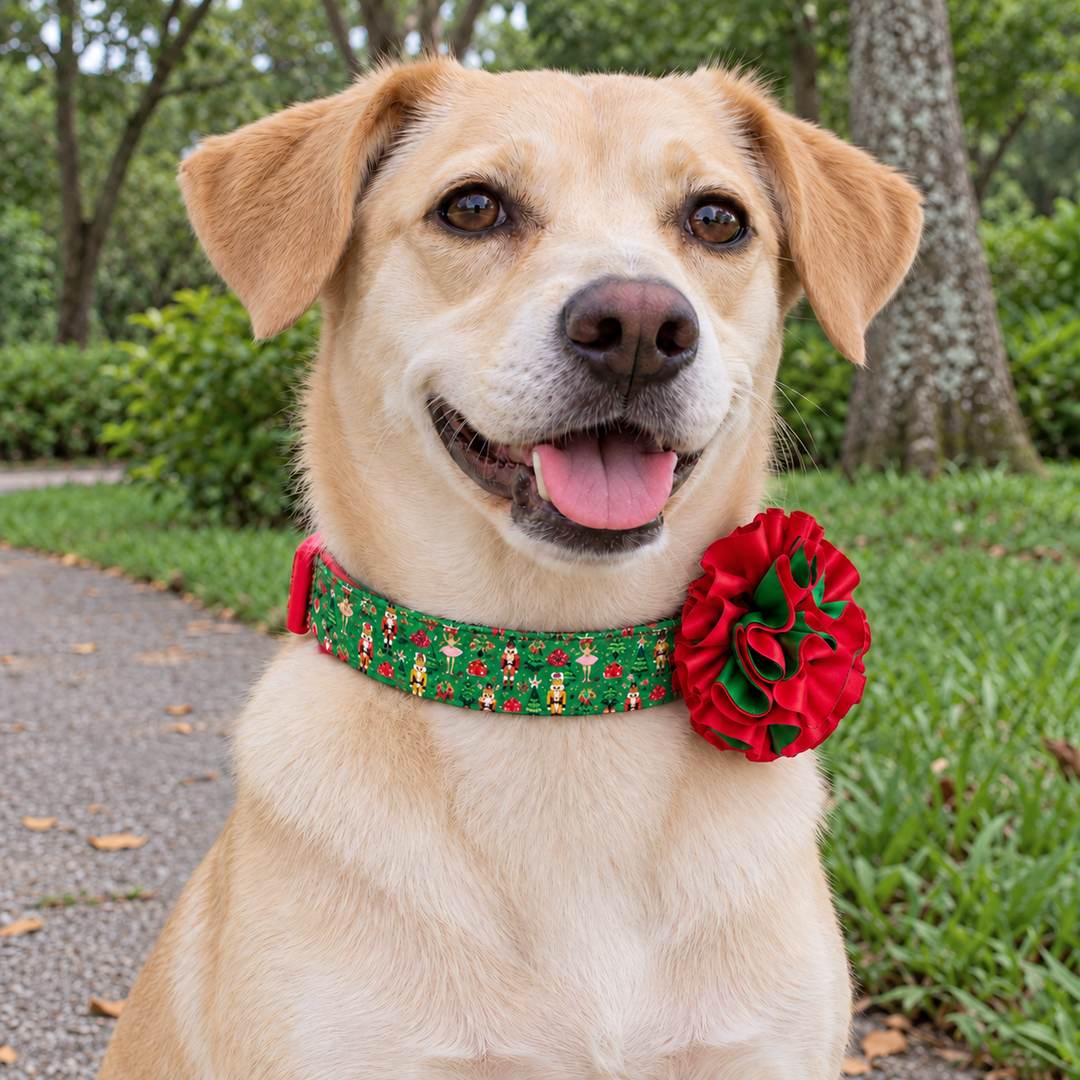 Perrita con collar de flor bicolor de Navidad Cascanueces