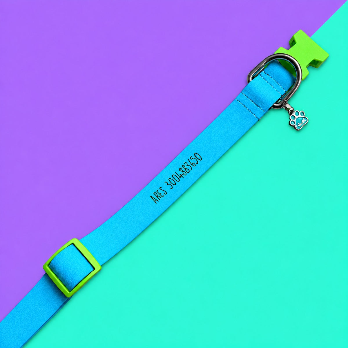 Collar personalizado para perros en goma impermeable azul, con nombre y teléfono, broches verde neón y dije de huella – Vainilla Mascotas.