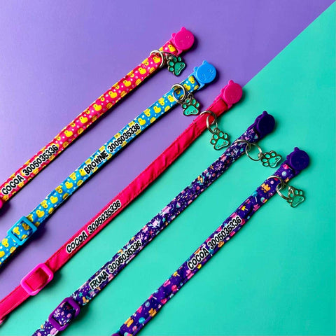Kit personalizado para gatos: collar, pañoleta y placa