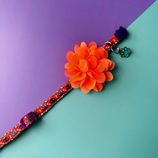 Collar para gatos con flor seda Halloween gatuno