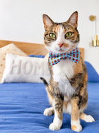 Gatita tricolor con corbatín azul Dulce Navidad