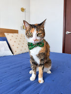Gatita tricolor con corbatín de Navidad Cascanueces