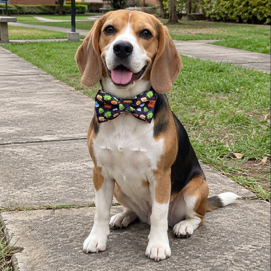 Beagle usando corbatín para perros Halloween Monstruos de Vainilla Mascotas