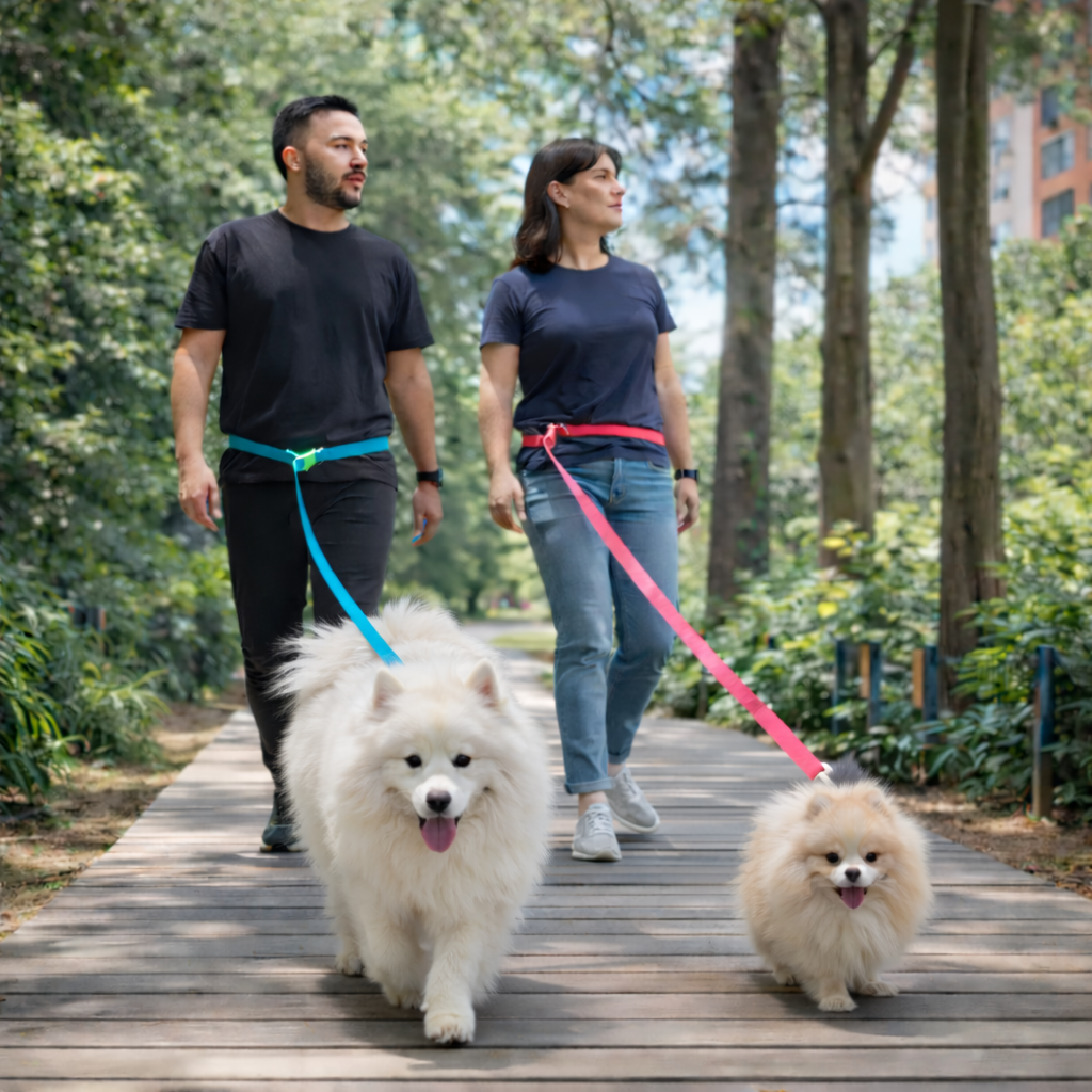 Correa para perros manos libres y extra larga en goma impermeable verde neón