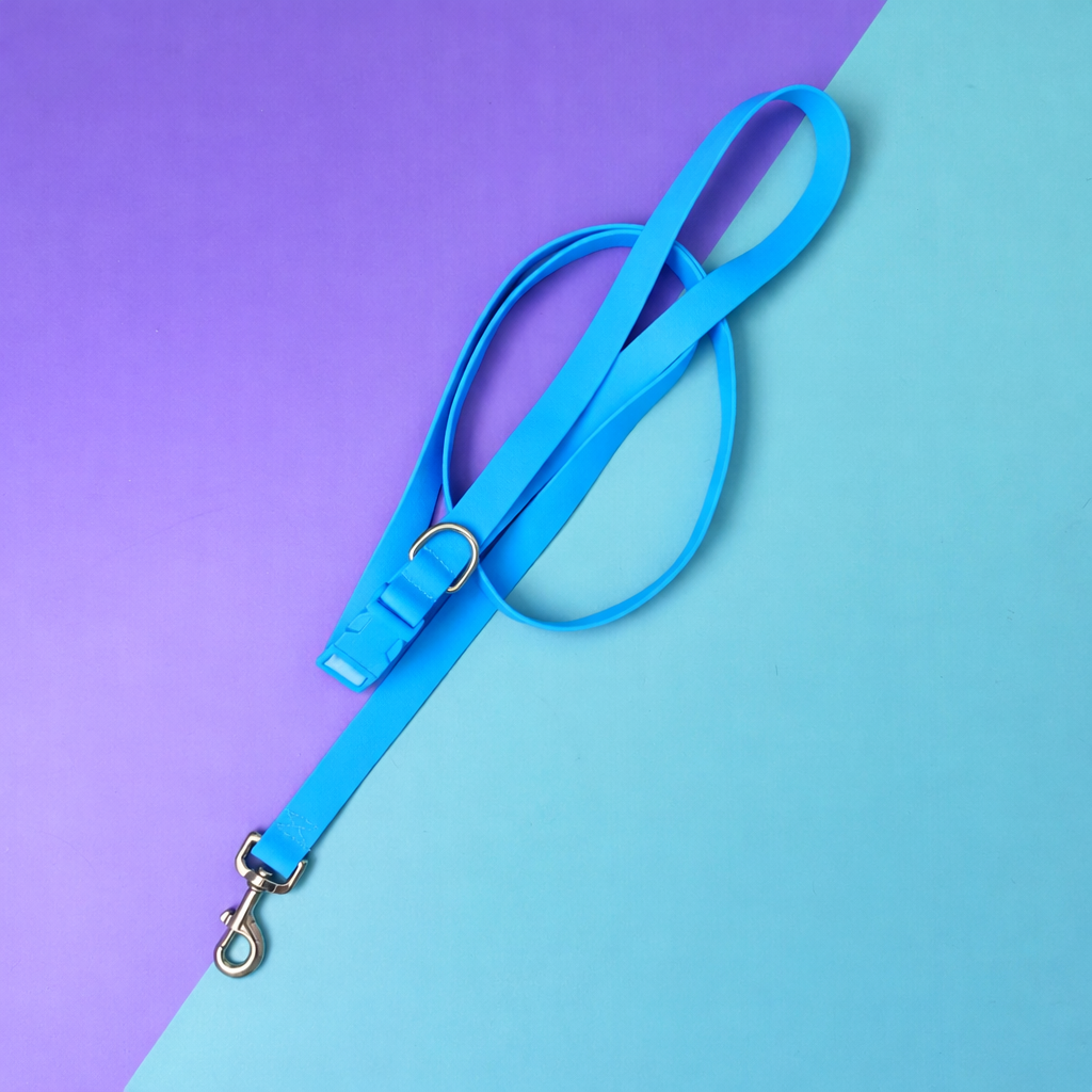 Correa para perros manos libres y extra larga en goma impermeable azul