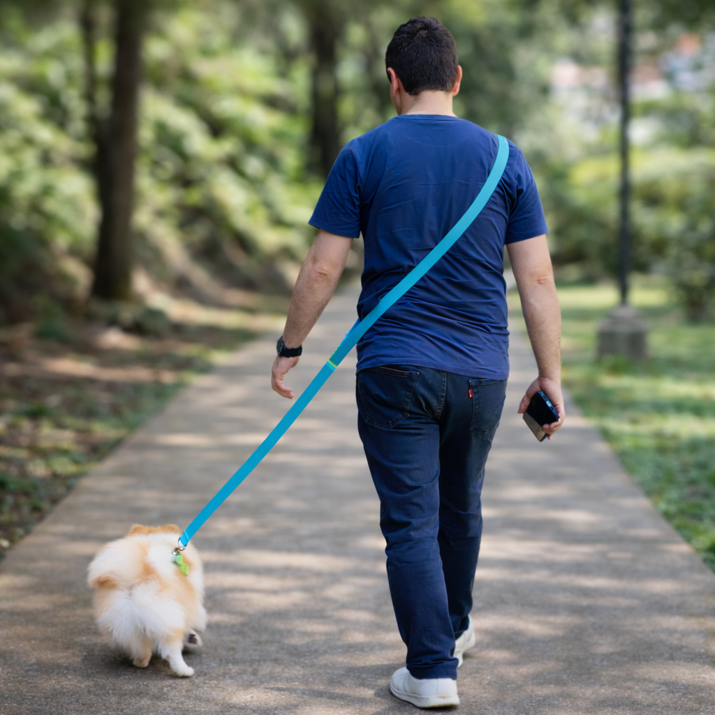 Correa para perros manos libres y extra larga en goma impermeable lila
