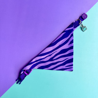 Pañoleta para gatos Cebra lila