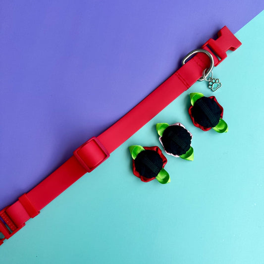 Collar para perros en goma impermeable rojo y rosado con rosas