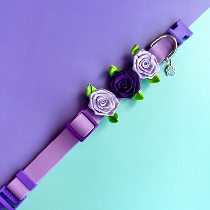 Collar para perros en goma impermeable lila y morado con rosas
