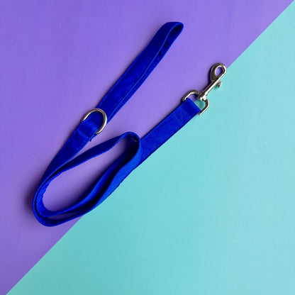 Pechera para perros con correa azul rey