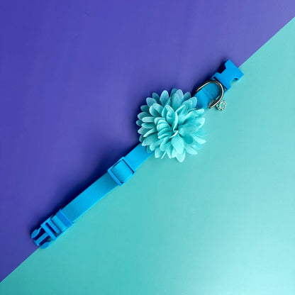 Collar para perros en goma turquesa con flor seda