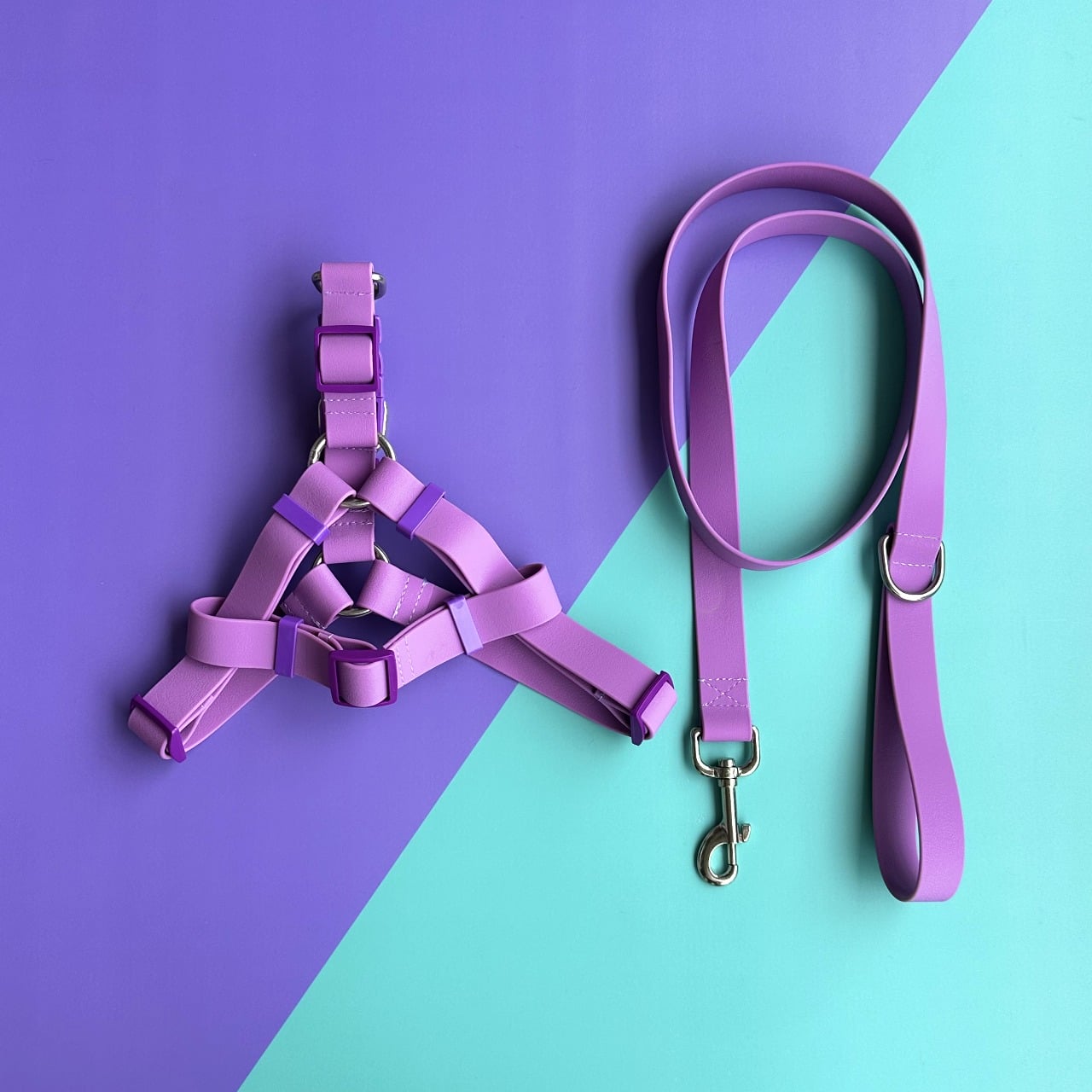 Arnés para perros en goma impermeable lila con correa