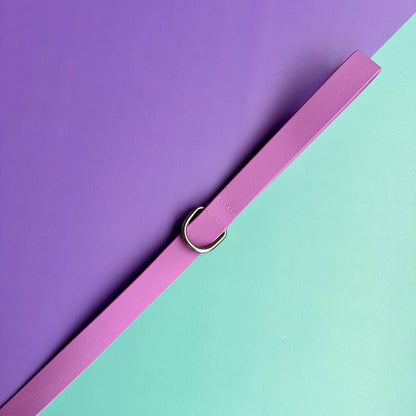 Arnés para perros en goma impermeable lila con correa