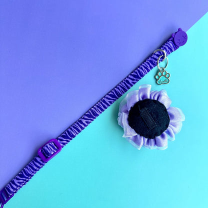 Collar para gatos Cebra lila con flor tul lila