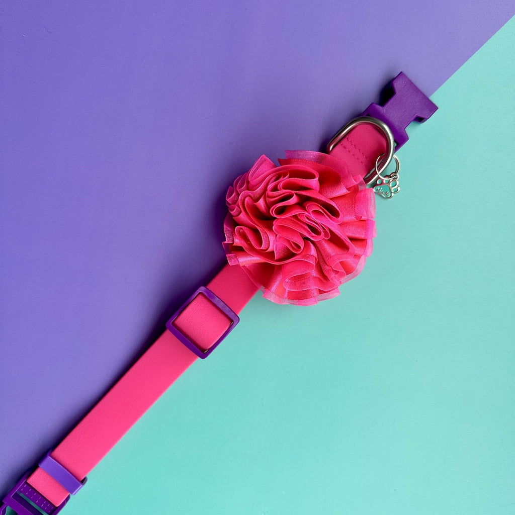 Collar para perros en goma impermeable fucsia y morado con flor tul fucsia neón