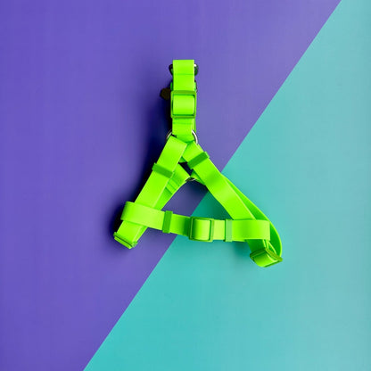 Arnés para perros en goma impermeable verde neón con correa